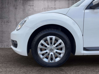 VW Beetle Gebrauchtwagen