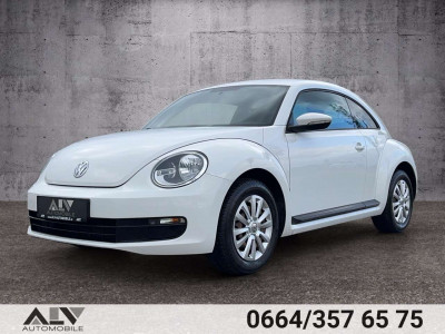 VW Beetle Gebrauchtwagen