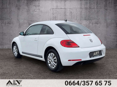 VW Beetle Gebrauchtwagen