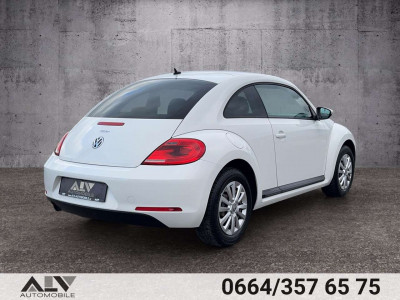 VW Beetle Gebrauchtwagen