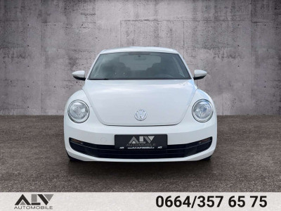 VW Beetle Gebrauchtwagen