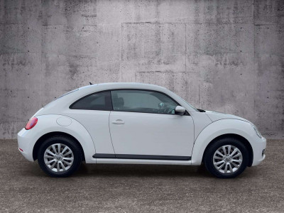 VW Beetle Gebrauchtwagen