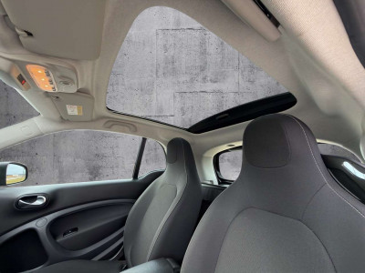 Smart fortwo Gebrauchtwagen