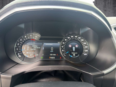 Ford Edge Gebrauchtwagen