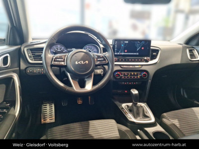 KIA Ceed Vorführwagen