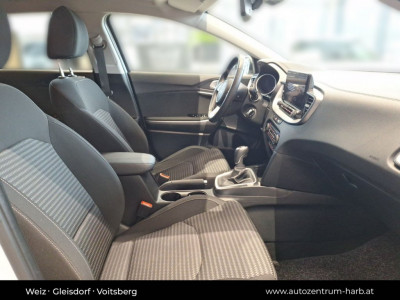 KIA Ceed Vorführwagen
