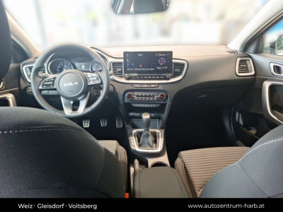 KIA Ceed Tageszulassung