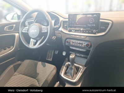 KIA Ceed Tageszulassung