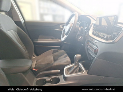 KIA Ceed Tageszulassung