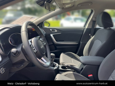 KIA Ceed Tageszulassung