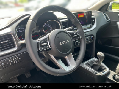 KIA Ceed Tageszulassung