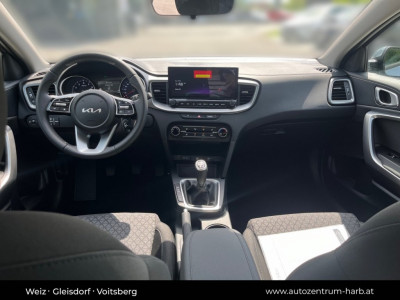 KIA Ceed Tageszulassung