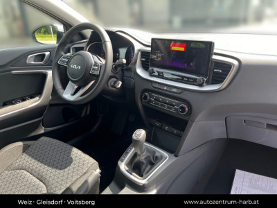 KIA Ceed Tageszulassung