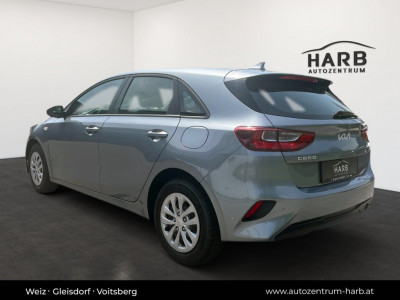 KIA Ceed Tageszulassung