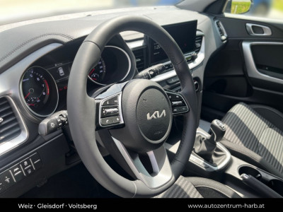 KIA Ceed Tageszulassung