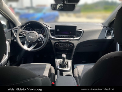 KIA Ceed Tageszulassung