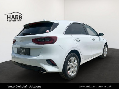 KIA Ceed Tageszulassung