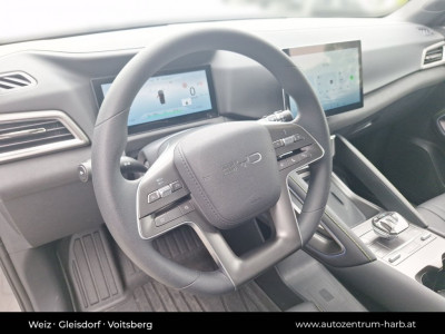 BYD Atto 2 Vorführwagen