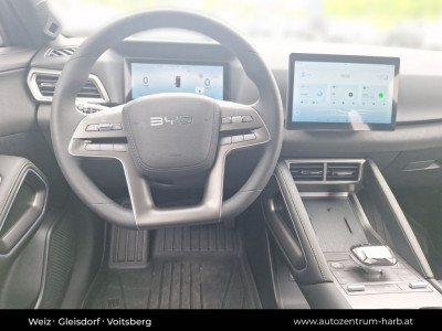 BYD Atto 2 Vorführwagen