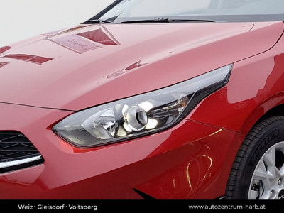 KIA Ceed Neuwagen