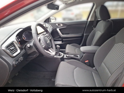 KIA Ceed Neuwagen
