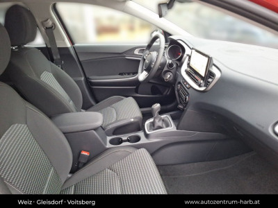 KIA Ceed Neuwagen