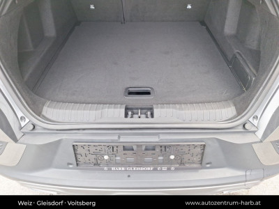 Renault Arkana Gebrauchtwagen