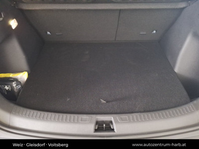 BYD Atto 2 Vorführwagen