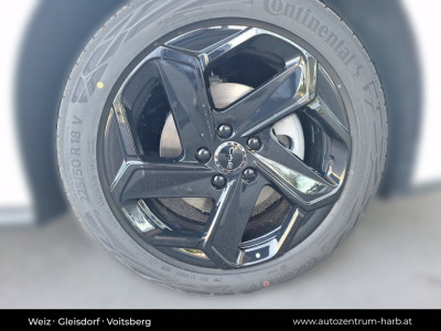 BYD Seal 6 Vorführwagen