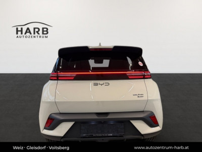 BYD Dolphin Surf Neuwagen