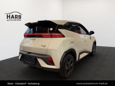 BYD Dolphin Surf Neuwagen