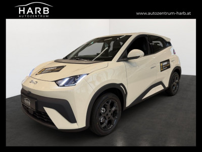 BYD Dolphin Surf Neuwagen