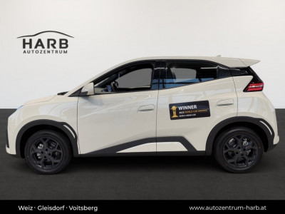 BYD Dolphin Surf Neuwagen