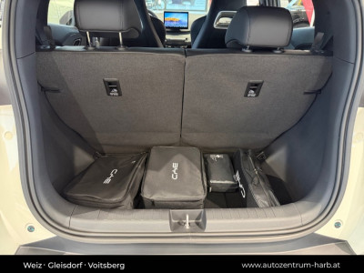 BYD Dolphin Surf Neuwagen