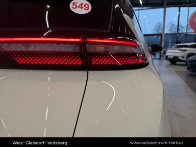 BYD Dolphin Surf Neuwagen