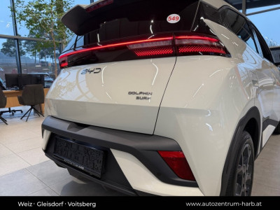 BYD Dolphin Surf Neuwagen