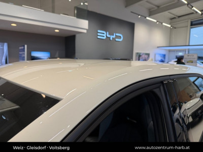 BYD Dolphin Surf Neuwagen