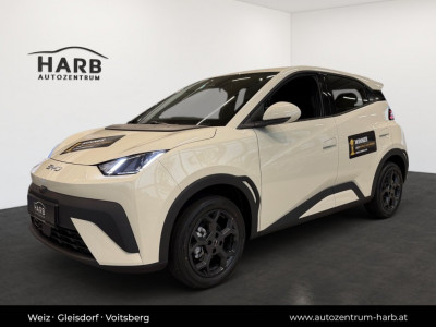 BYD Dolphin Surf Neuwagen