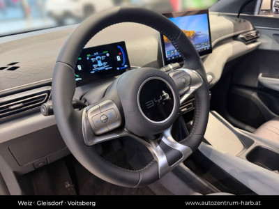 BYD Dolphin Surf Neuwagen