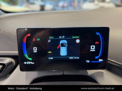 BYD Dolphin Surf Neuwagen