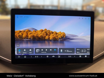 BYD Dolphin Surf Neuwagen