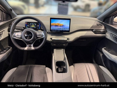 BYD Dolphin Surf Neuwagen