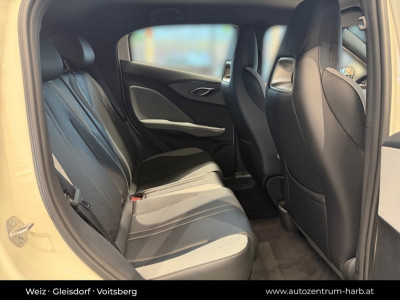 BYD Dolphin Surf Neuwagen