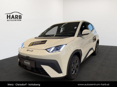 BYD Dolphin Surf Neuwagen