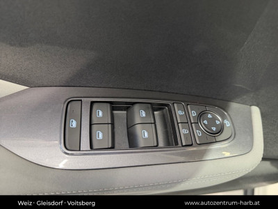 BYD Dolphin Surf Neuwagen