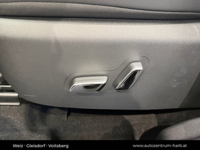 BYD Dolphin Surf Neuwagen