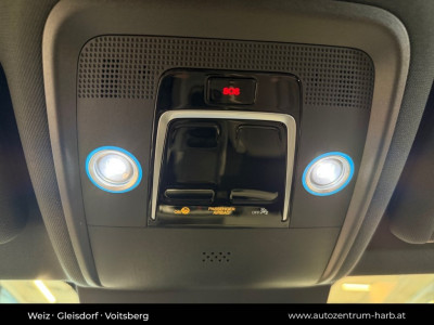 BYD Dolphin Surf Neuwagen