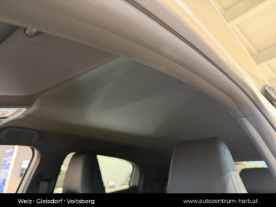 BYD Dolphin Surf Neuwagen