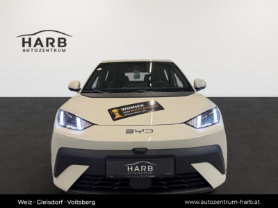 BYD Dolphin Surf Neuwagen