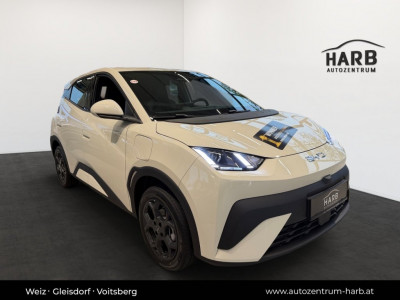 BYD Dolphin Surf Neuwagen